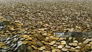 深圳房奴福音：抵押贷款玩转楼市，告别死工资，实现财富自由？