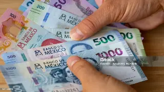 深圳借款避坑宝典：不想被坑？这几招让你稳如老狗！